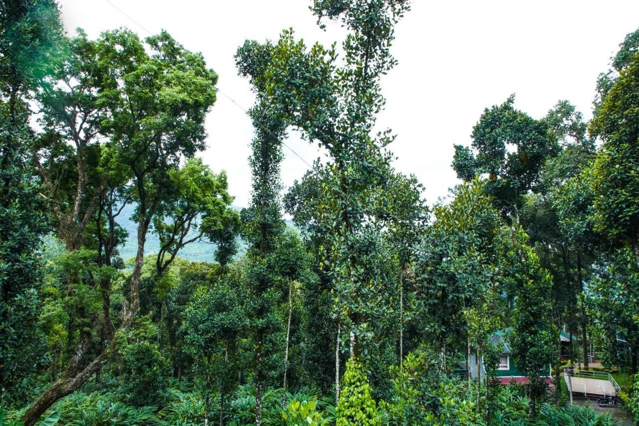 Hotel Tree Blanche Munnar Zewnętrze zdjęcie